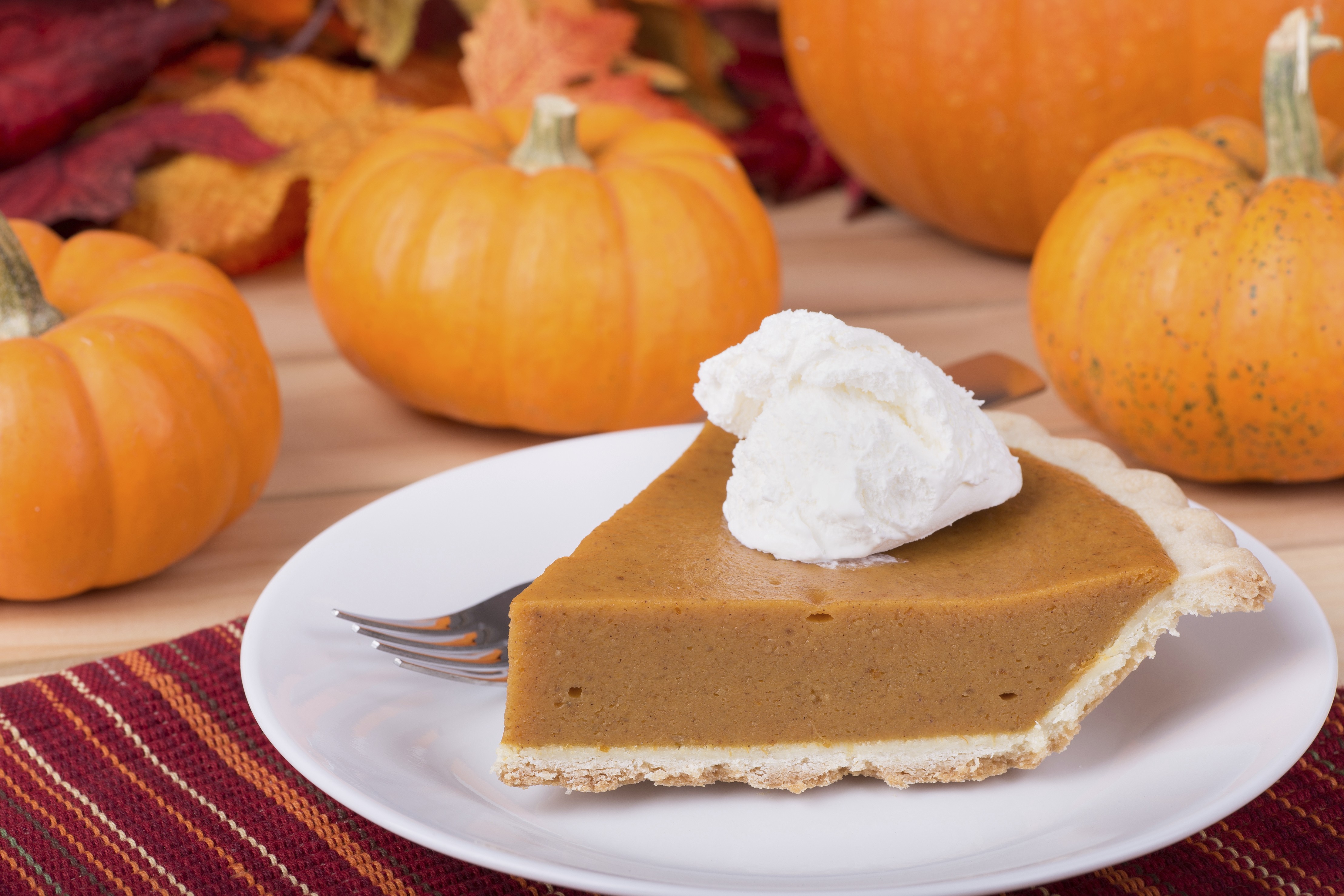 A slice of pumpkin pie on a plate with some pumpkins in the foreground